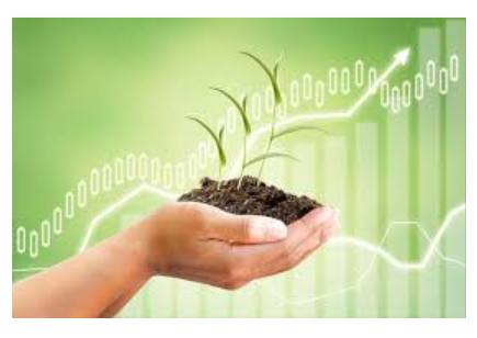 Rappresentazione visiva dell'articolo: Come rendere più sostenibili i tuoi investimenti? 
ESG e Regolamento UE 2019/2088