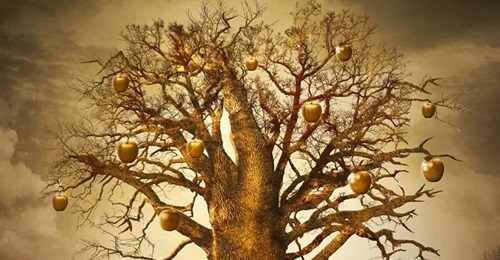 Rappresentazione visiva dell'articolo: Conto corrente cointestato, come evitare situazioni spiacevoli