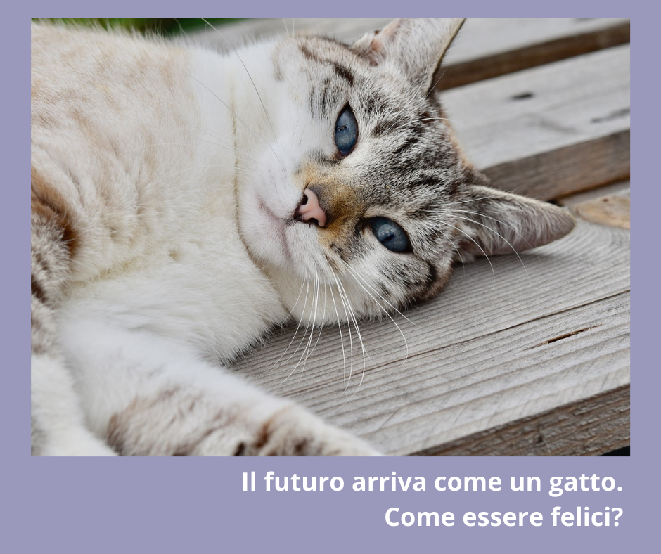 Rappresentazione visiva dell'articolo: Il futuro arriva come un gatto. 
Come essere felici?